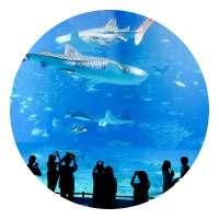 aquarium